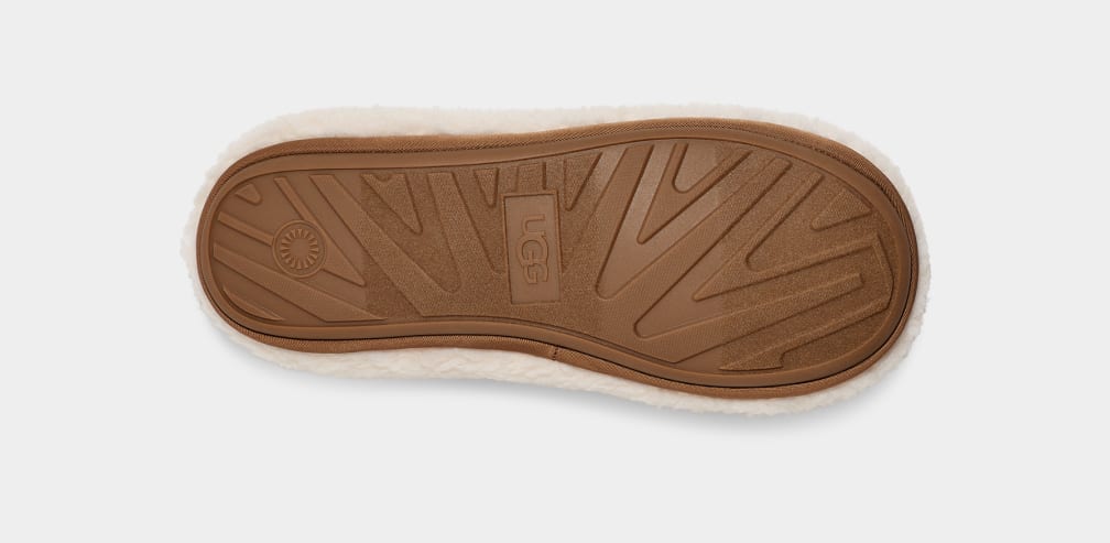 0FCA2958-F3D5-D0CB-80CC-760A4F3C1618