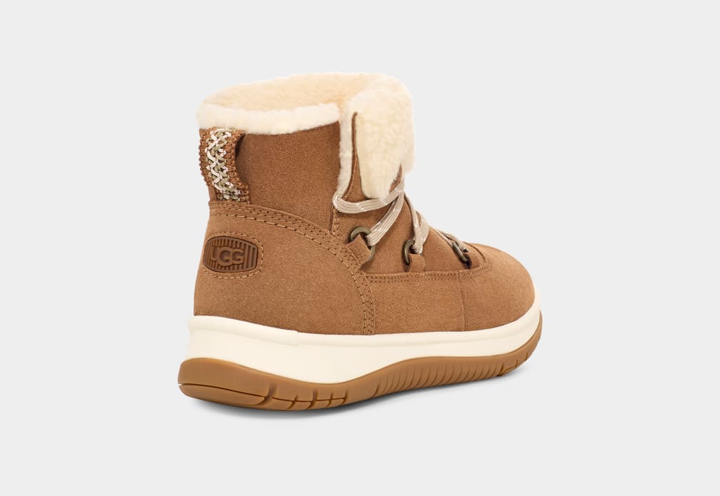 1EFFF37B-E59E-D1F3-A067-347EB1B9F19D