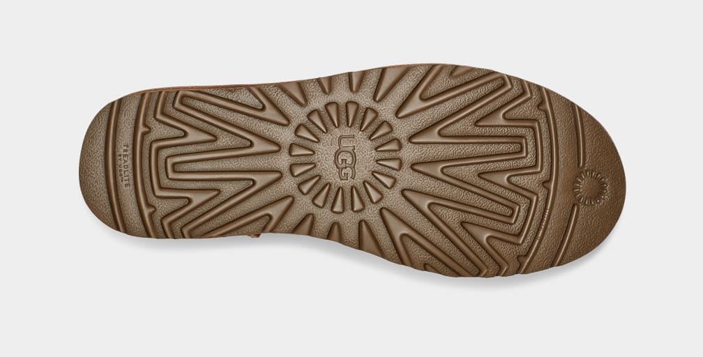 23C1E1E6-C357-4D43-C68C-42324AD33577