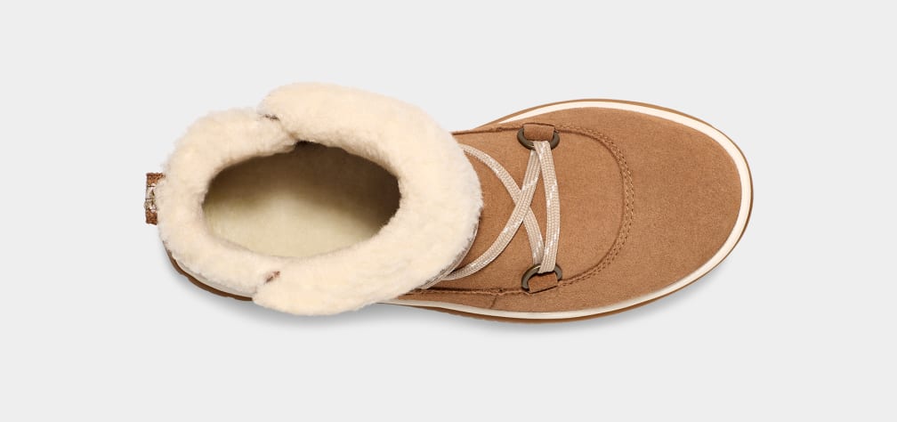 25E5CF37-B742-90F0-1ECB-39B5A6B2E691