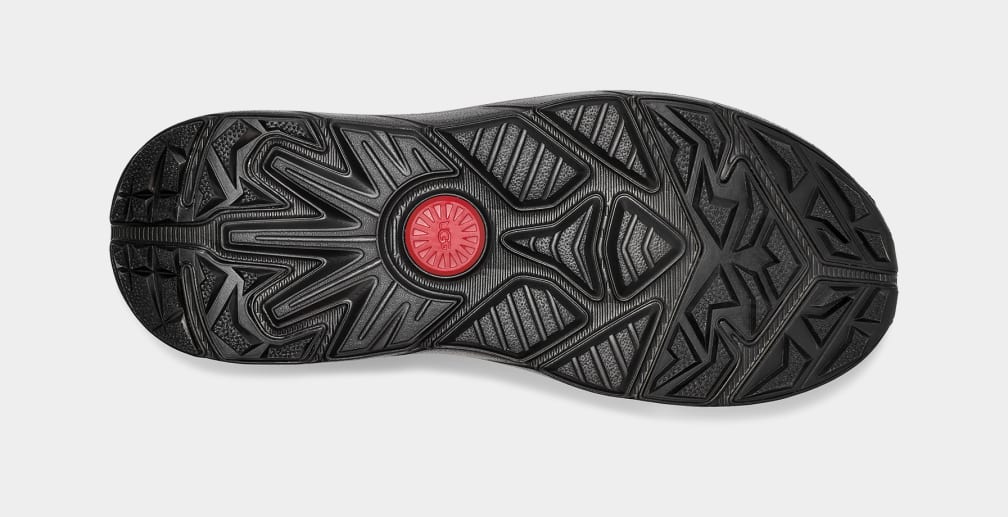 279D324F-C4BA-B745-92AD-F1F9D4F0110C