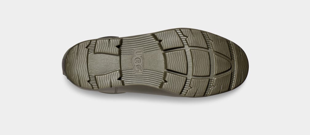 2967DD63-18DA-A5F5-D8BB-A43F71C26704