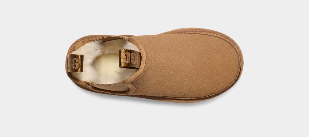 313FF012-DA62-0EC8-D162-D3933AD6859D