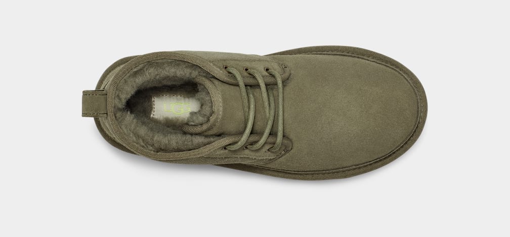 48976AD6-35B3-B8F0-7C3E-5586C0C06F6E