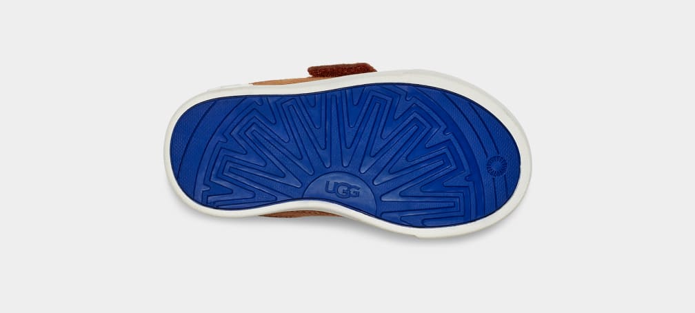 4F9A6178-2BC3-B78B-C982-1CC6283CC57C