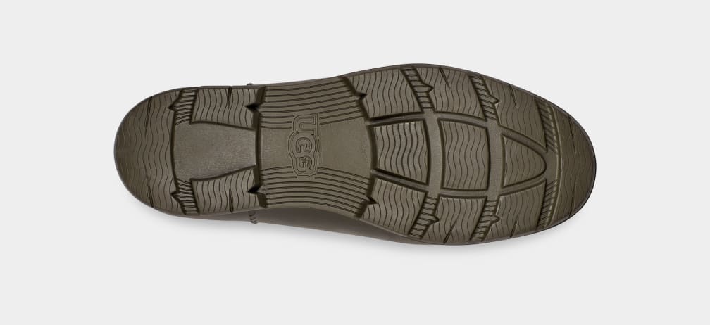 7C3FF257-8505-6F5C-4A29-B715BA717A1A