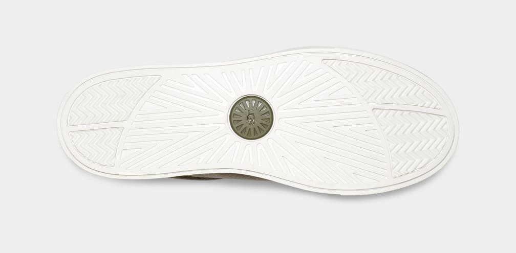 7FED693C-AB54-6742-A8D6-C561F9EE45A7