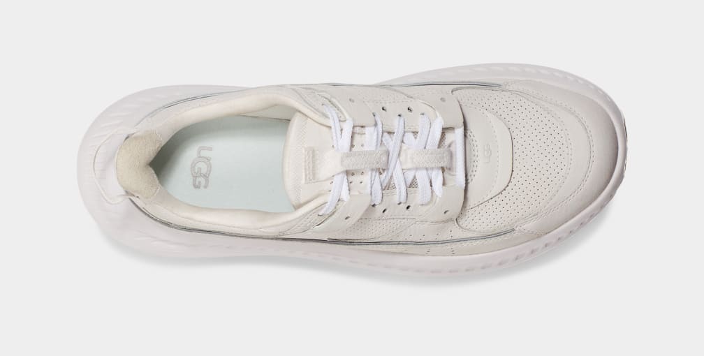 931AC33A-7F62-D469-9642-3F831C97F9F2