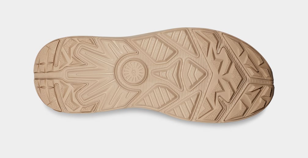 AF70533B-1302-12A8-8928-E56896933181