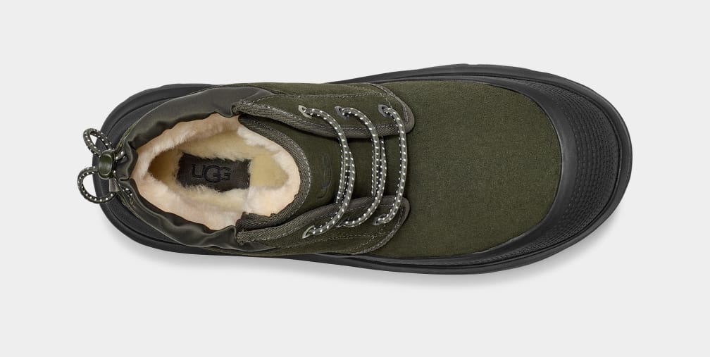 B12583C2-A0C4-341C-D6F3-F39077CE40A1