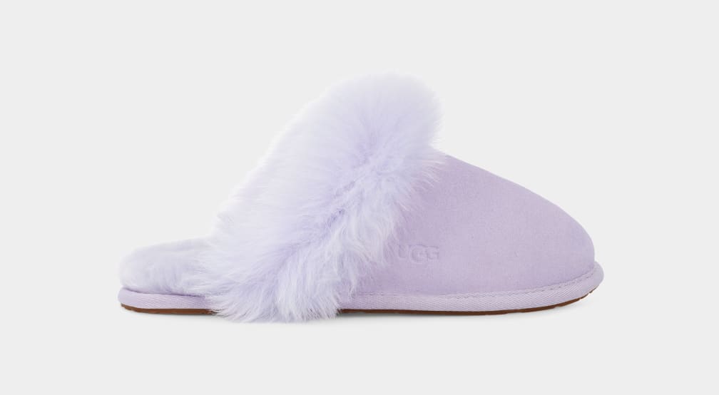 B612ACD9-0477-402F-BF33-D1890144041A