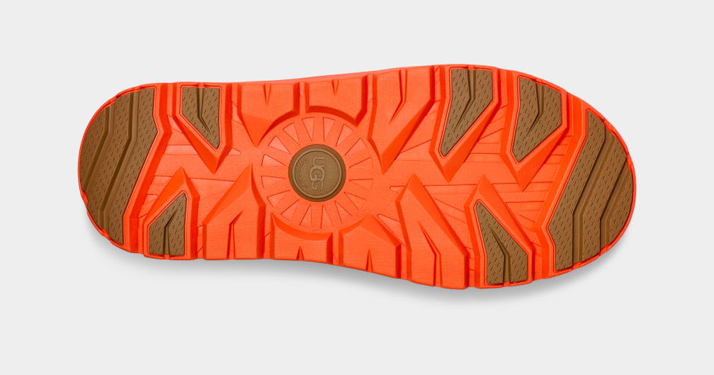 D22479D1-3287-F231-4DF7-288DEFAAE15E