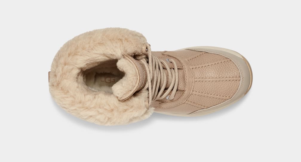 EC4DAE6E-9A1A-A7DE-2274-7EA34A007681